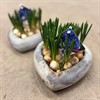 MUSCARI 22 CM BLÅ I CEMENT HJÄRTA  1X3